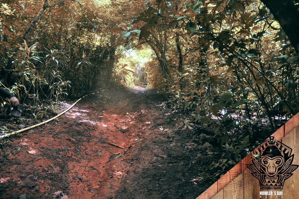 Howlers Bay Hotelボカ・チカ エクステリア 写真