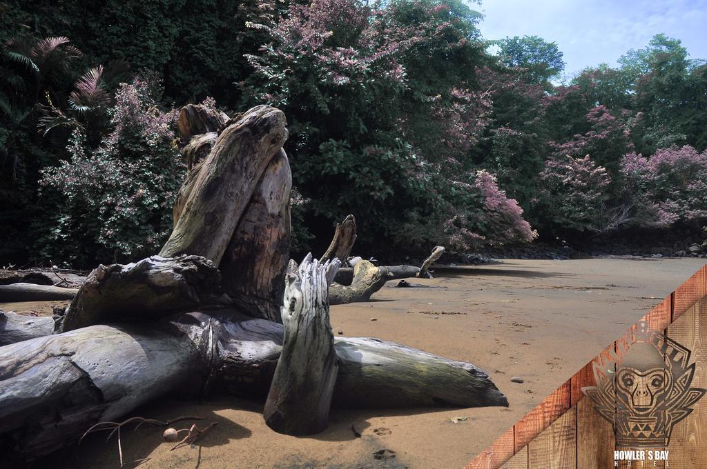 Howlers Bay Hotelボカ・チカ エクステリア 写真